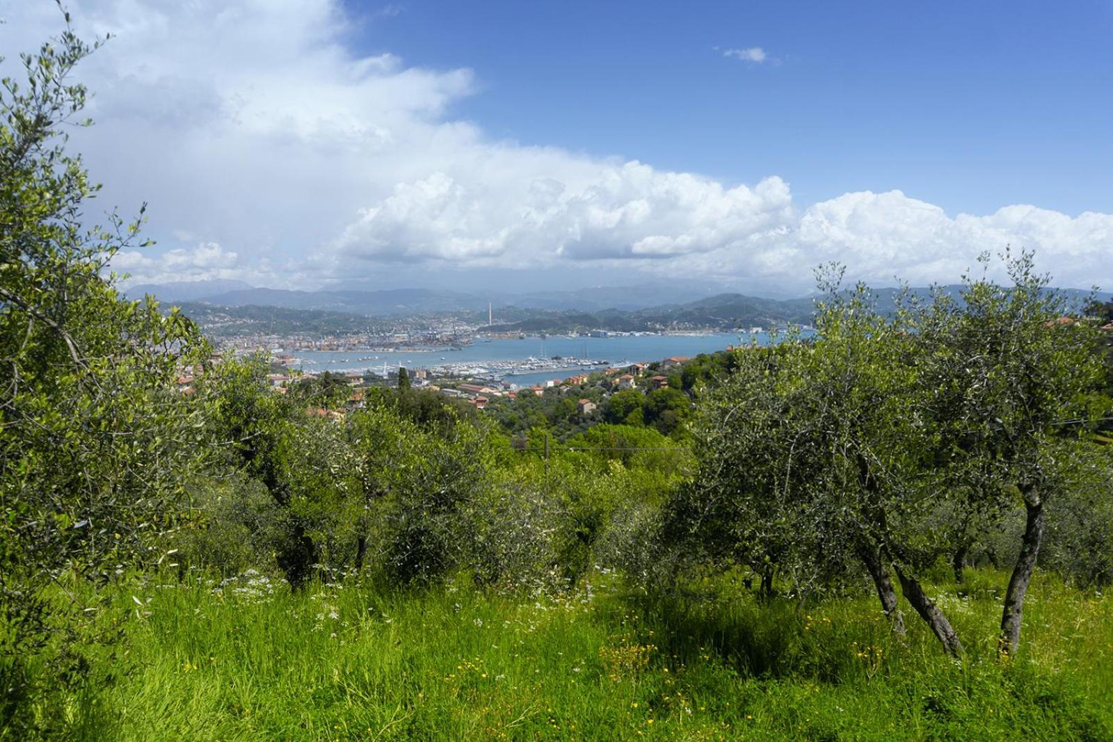 Gli Ulivi Sul Golfo E Le 5 Terre Lejlighed La Spezia Eksteriør billede