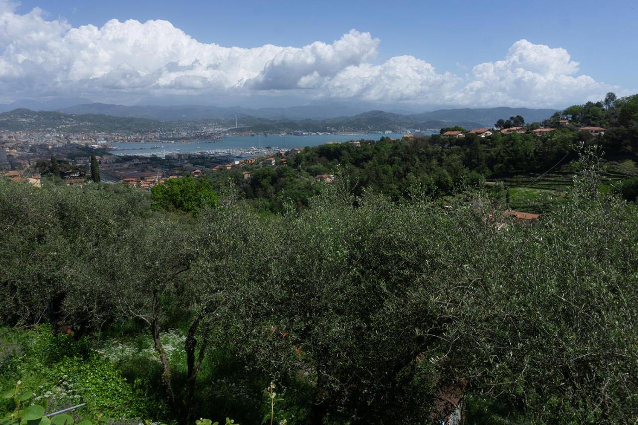 Gli Ulivi Sul Golfo E Le 5 Terre Lejlighed La Spezia Eksteriør billede