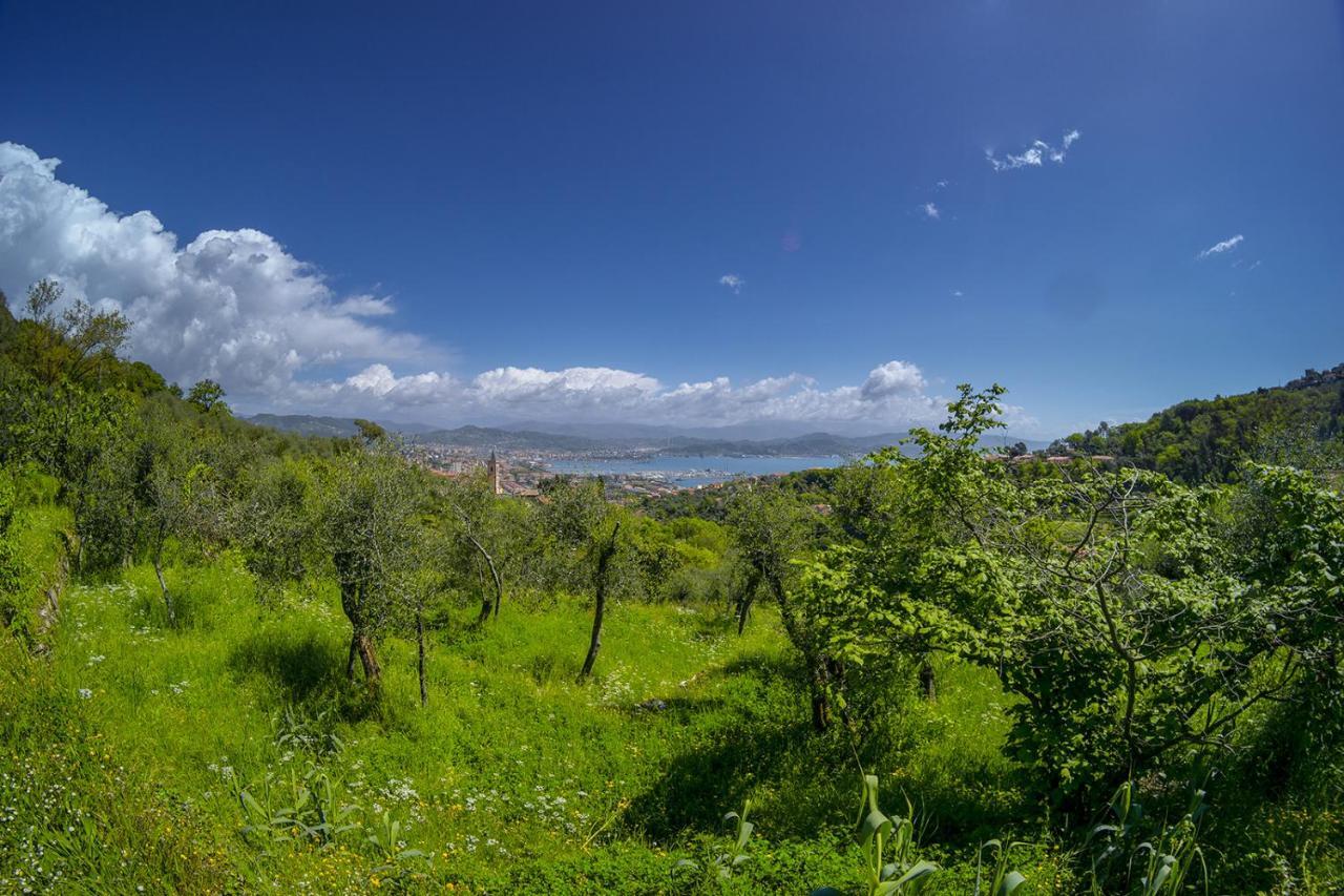 Gli Ulivi Sul Golfo E Le 5 Terre Lejlighed La Spezia Eksteriør billede